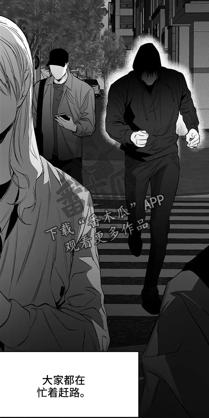 拳击手漫画图片漫画,第201章：【第三季】去散步3图