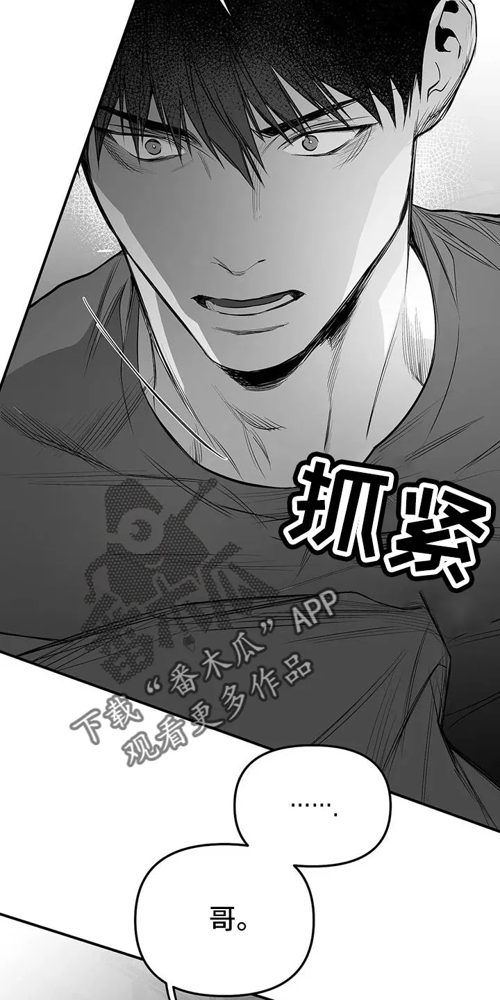 拳击手漫画漫画,第215章：【第三季】不像自己9图