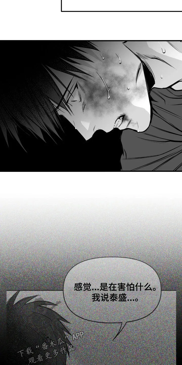 拳击手漫画免费版在线观看漫画,第255章：【第三季】我们聊聊4图