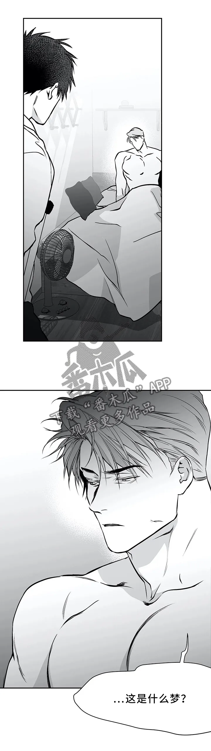 拳击手漫画全集免费阅读下拉式漫画,第61章：晨间问候1图
