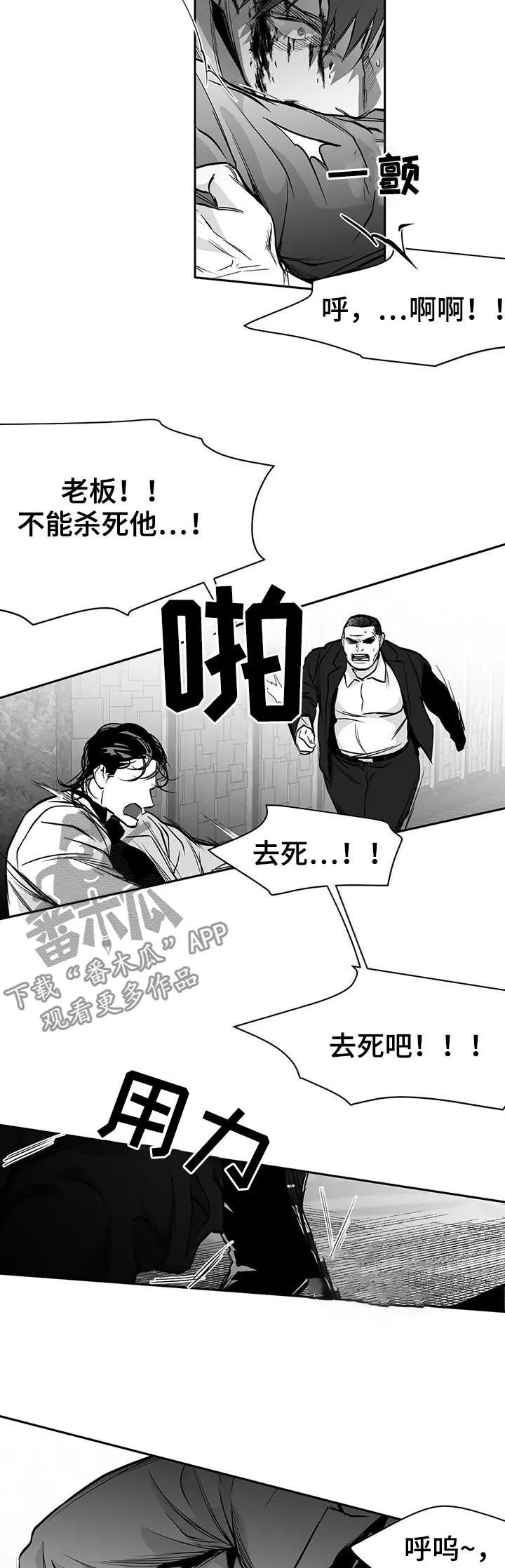 拳击手漫画图片漫画,第86章：有你的风范6图