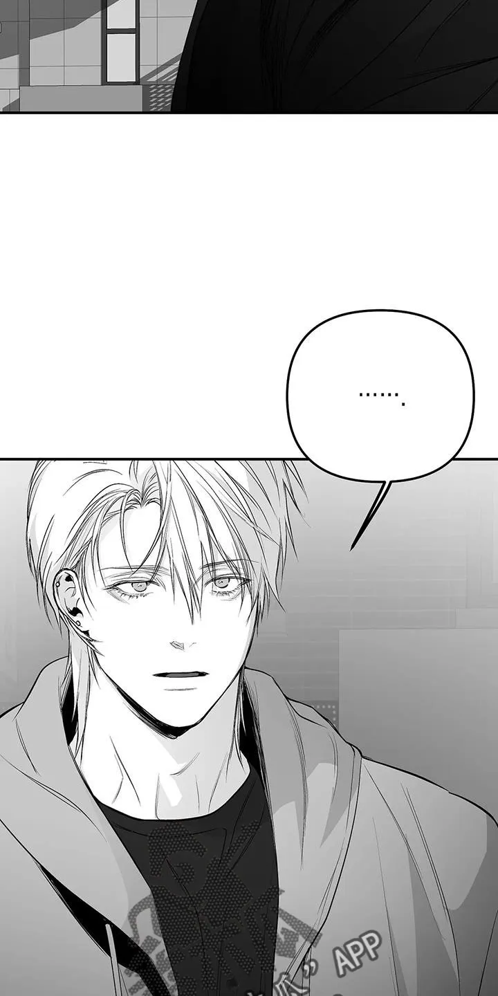 拳击手漫画卡西姆漫画,第212章：【第三季】条件是什么来着27图