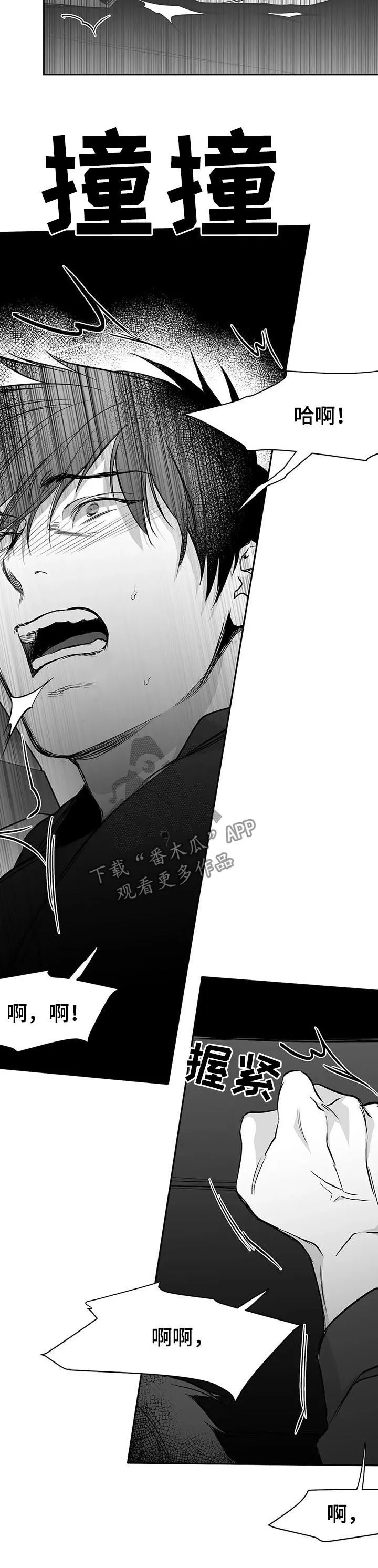 拳击手 漫画漫画,第80章：无法忍住12图