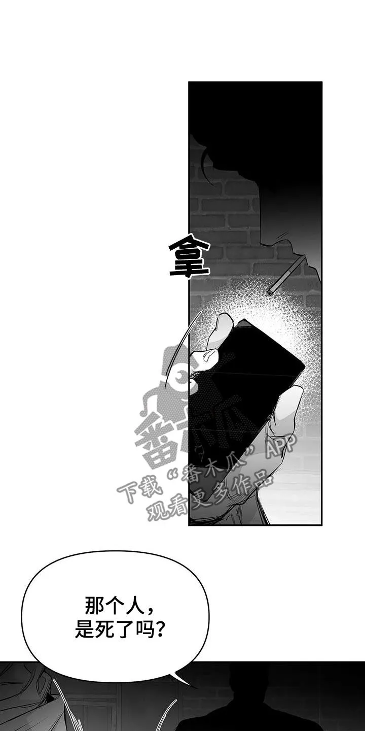 拳击手漫画全集免费阅读下拉式漫画,第183章：【第三季】每天死一个15图