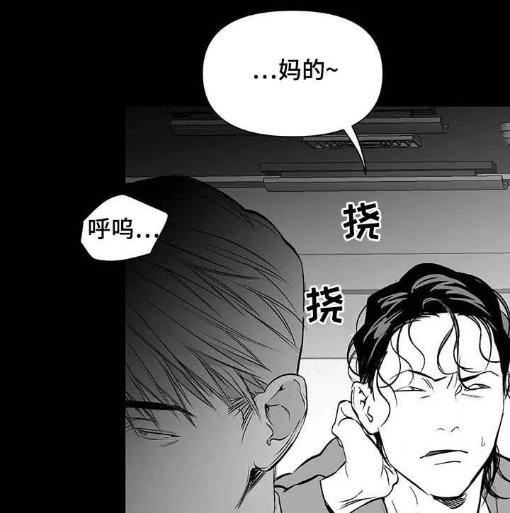 拳击手漫画图片漫画,第141章：【第二季】搞笑7图