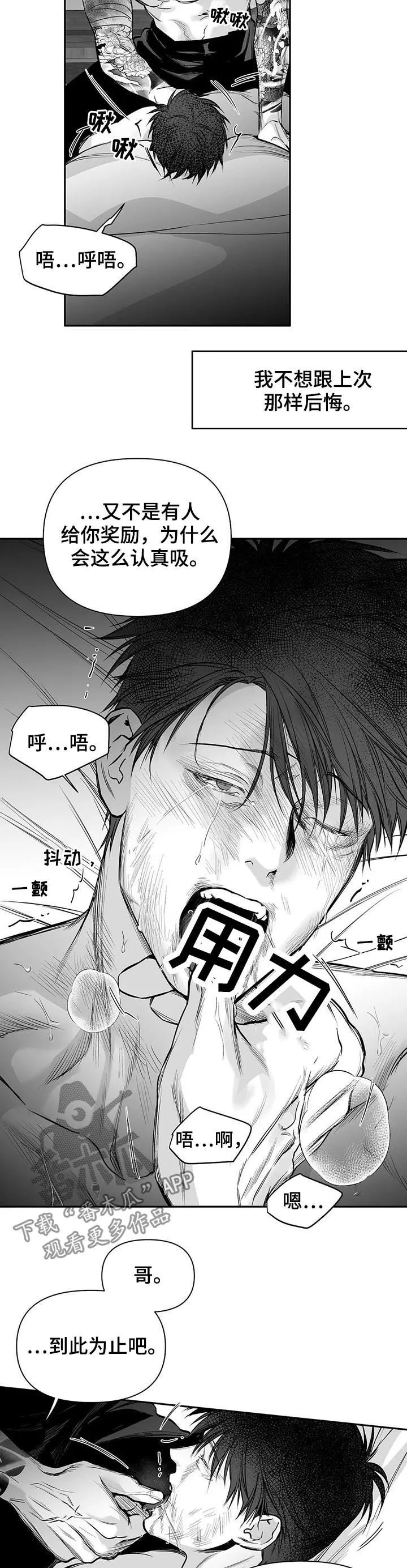 拳击手漫画免费版在线观看漫画,第121章：【第二季】到此为止吧12图