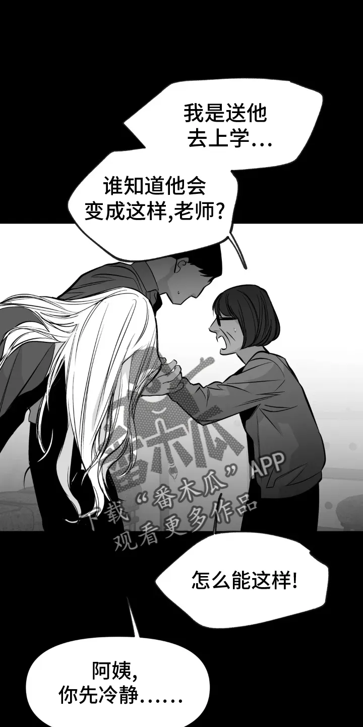 拳击手漫画漫画,第241章：【第三季】和解4图