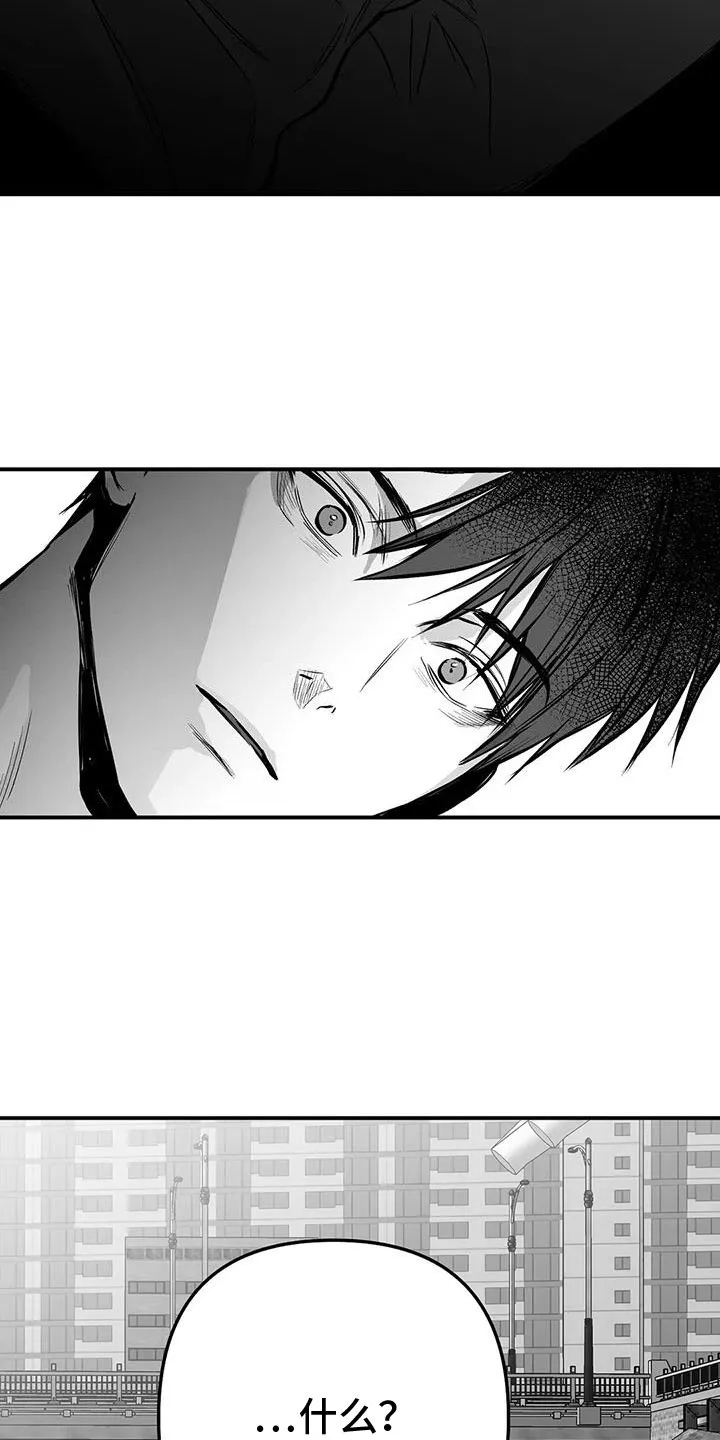 拳击手漫画图片漫画,第219章：【第三季】帮你治腿34图