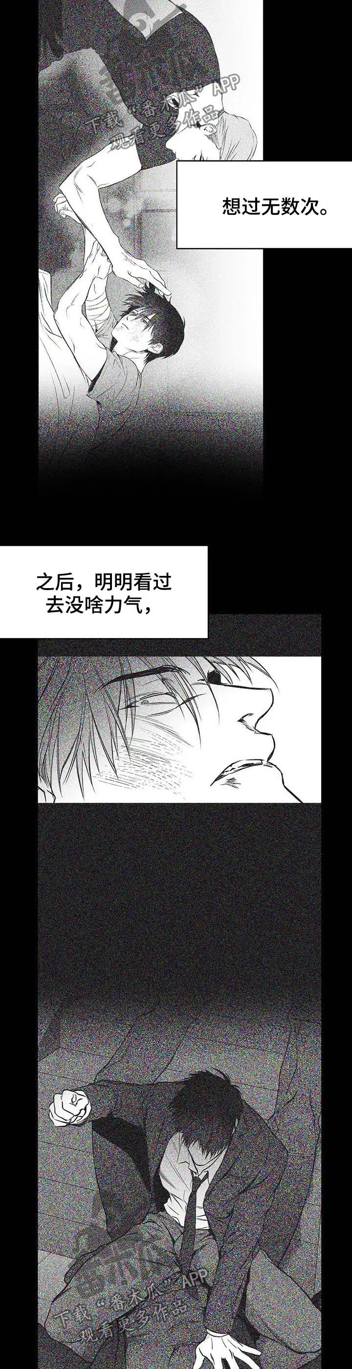 拳击手漫画免费阅读漫画,第84章：到底怎么回事7图