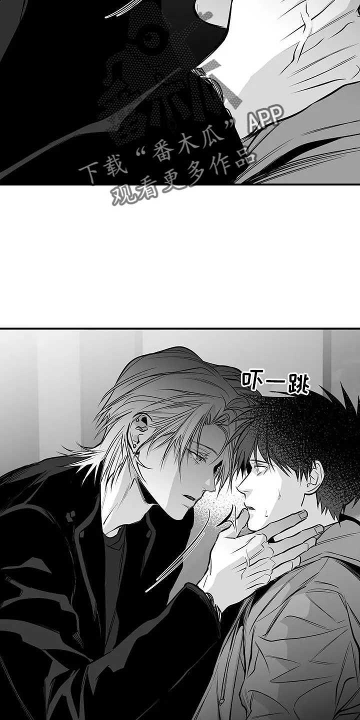 拳击手漫画吧漫画,第232章：【第三季】不要讨厌我2图