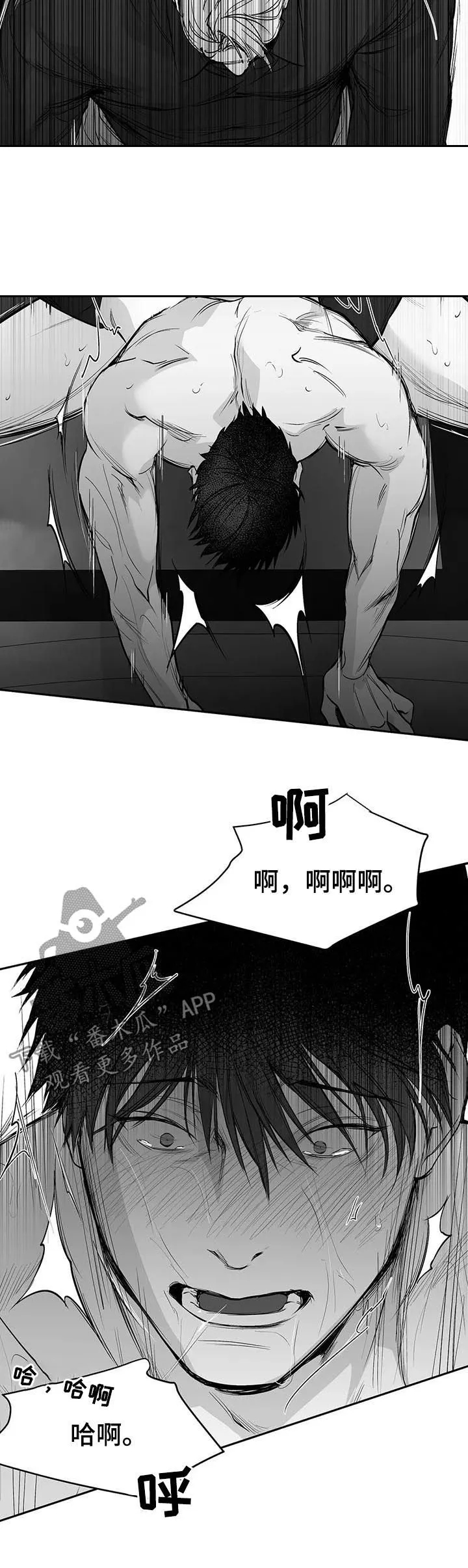 拳击手漫画漫画,第111章：【第二季】很贪心13图