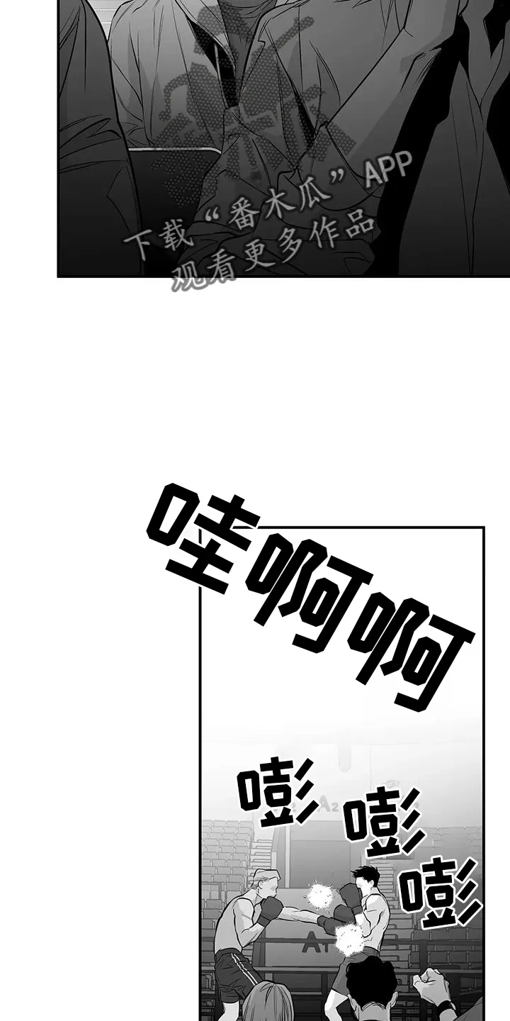 拳击手 漫画漫画,第226章：【第三季】比赛22图