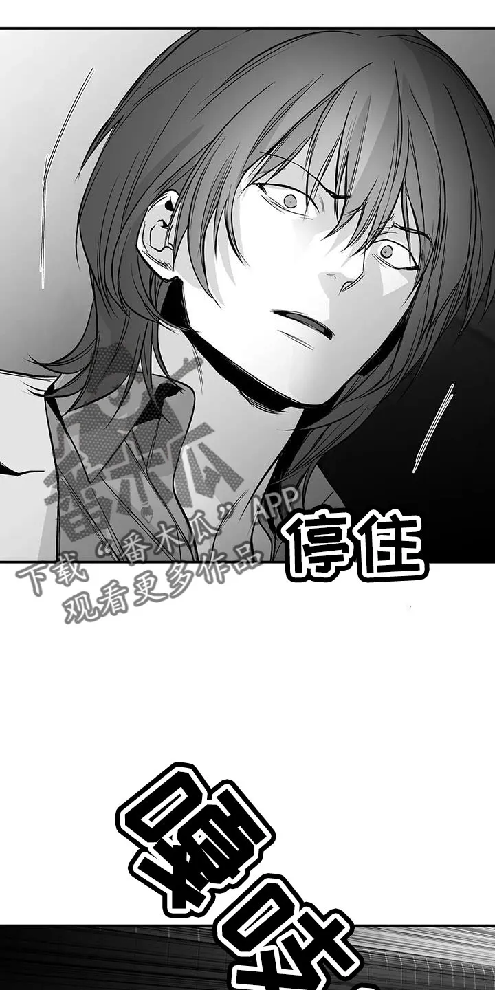 拳击手漫画漫画,第221章：【第三季】死了28图