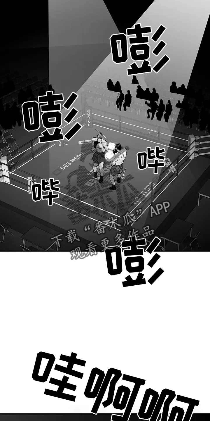 拳击手 漫画漫画,第226章：【第三季】比赛24图