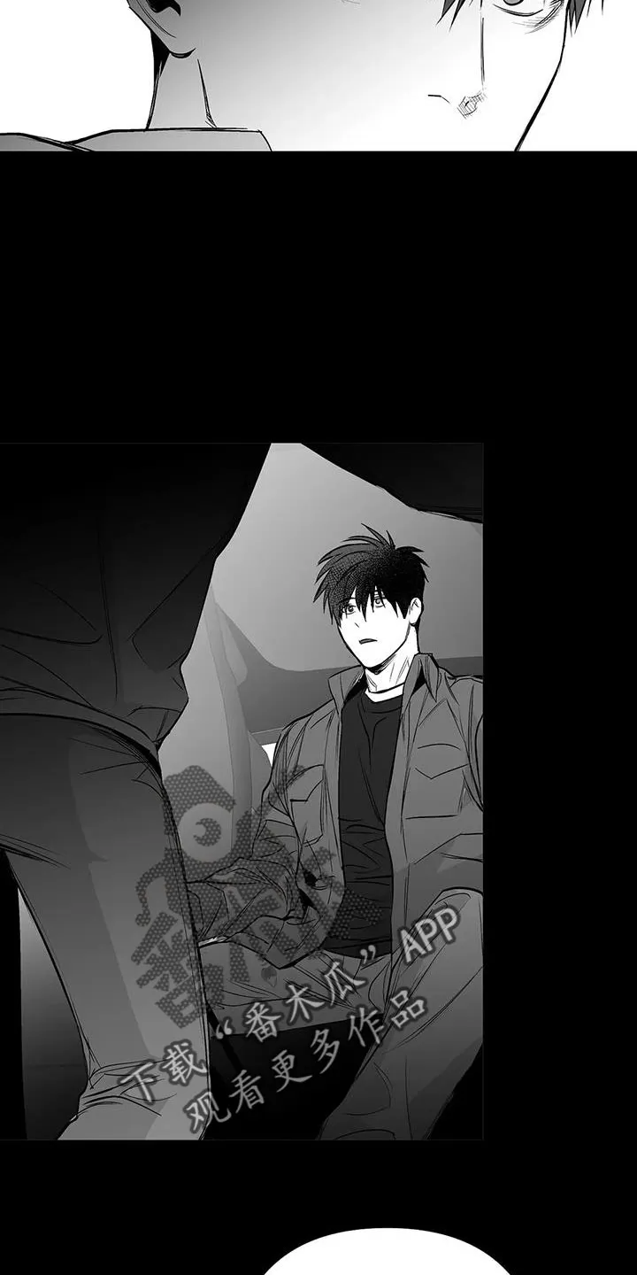 拳击手漫画卡西姆漫画,第212章：【第三季】条件是什么来着5图