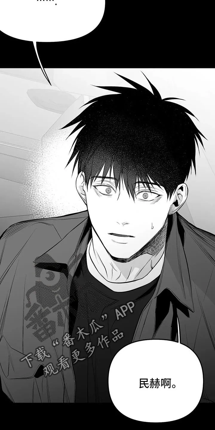 拳击手漫画卡西姆漫画,第212章：【第三季】条件是什么来着8图