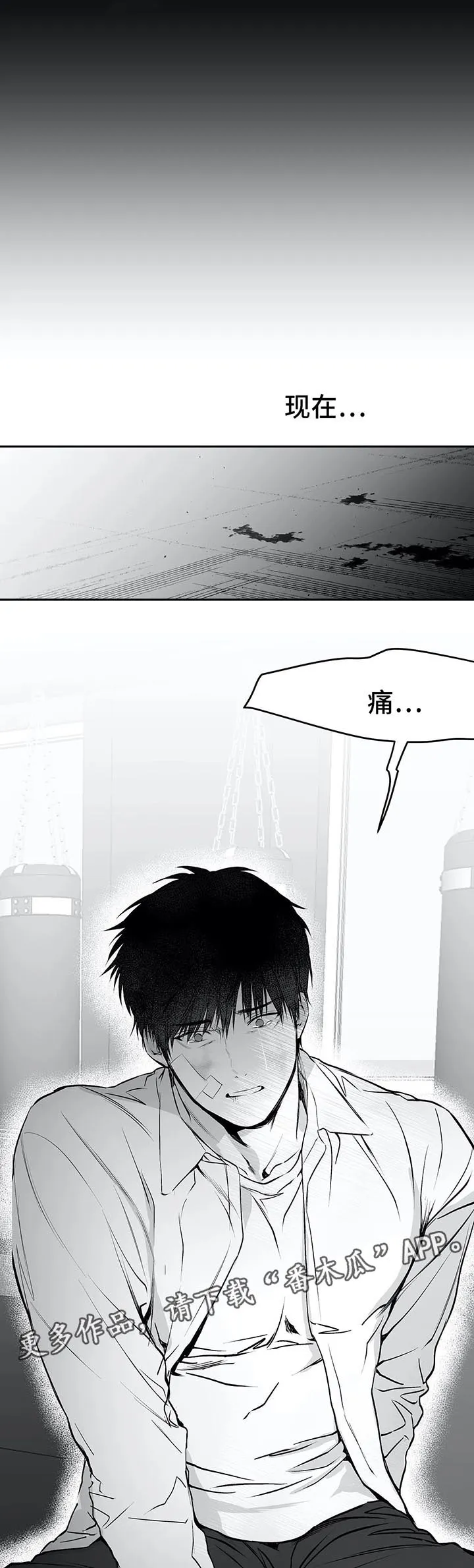 拳击手漫画女主图片漫画,第35章：第一次14图