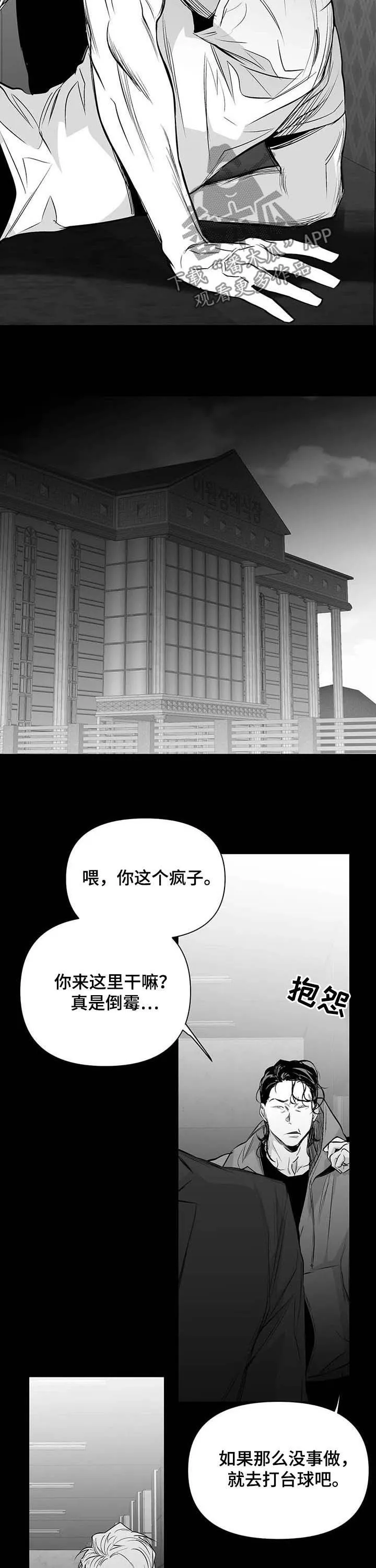 拳击手漫画图片漫画,第141章：【第二季】搞笑4图