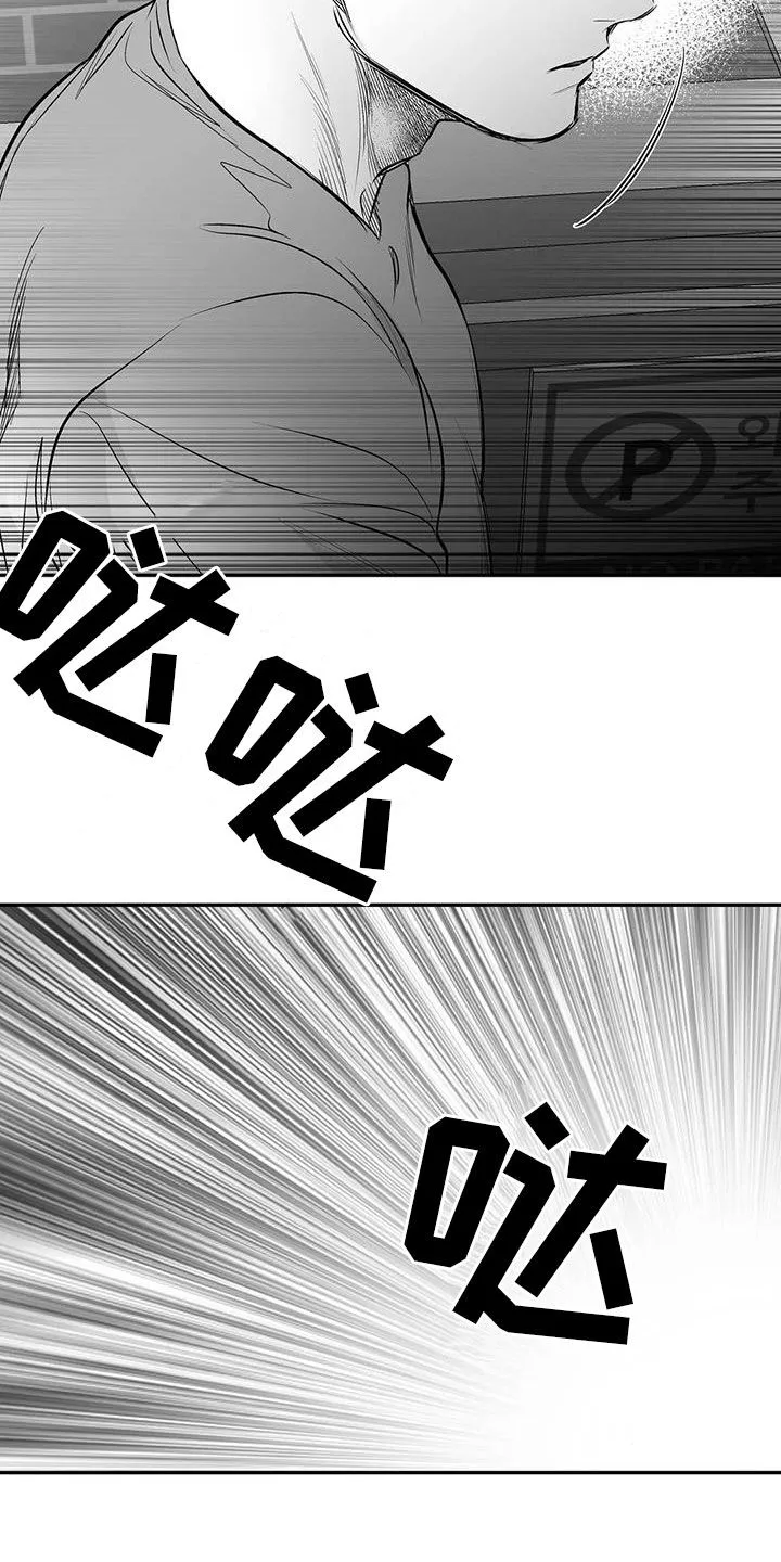 拳击手漫画全集免费阅读下拉式漫画,第183章：【第三季】每天死一个14图