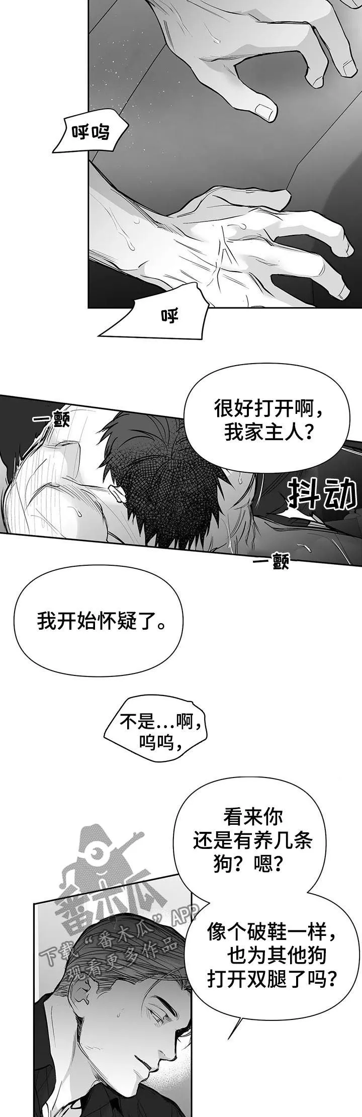 拳击手漫画漫画,第111章：【第二季】很贪心7图
