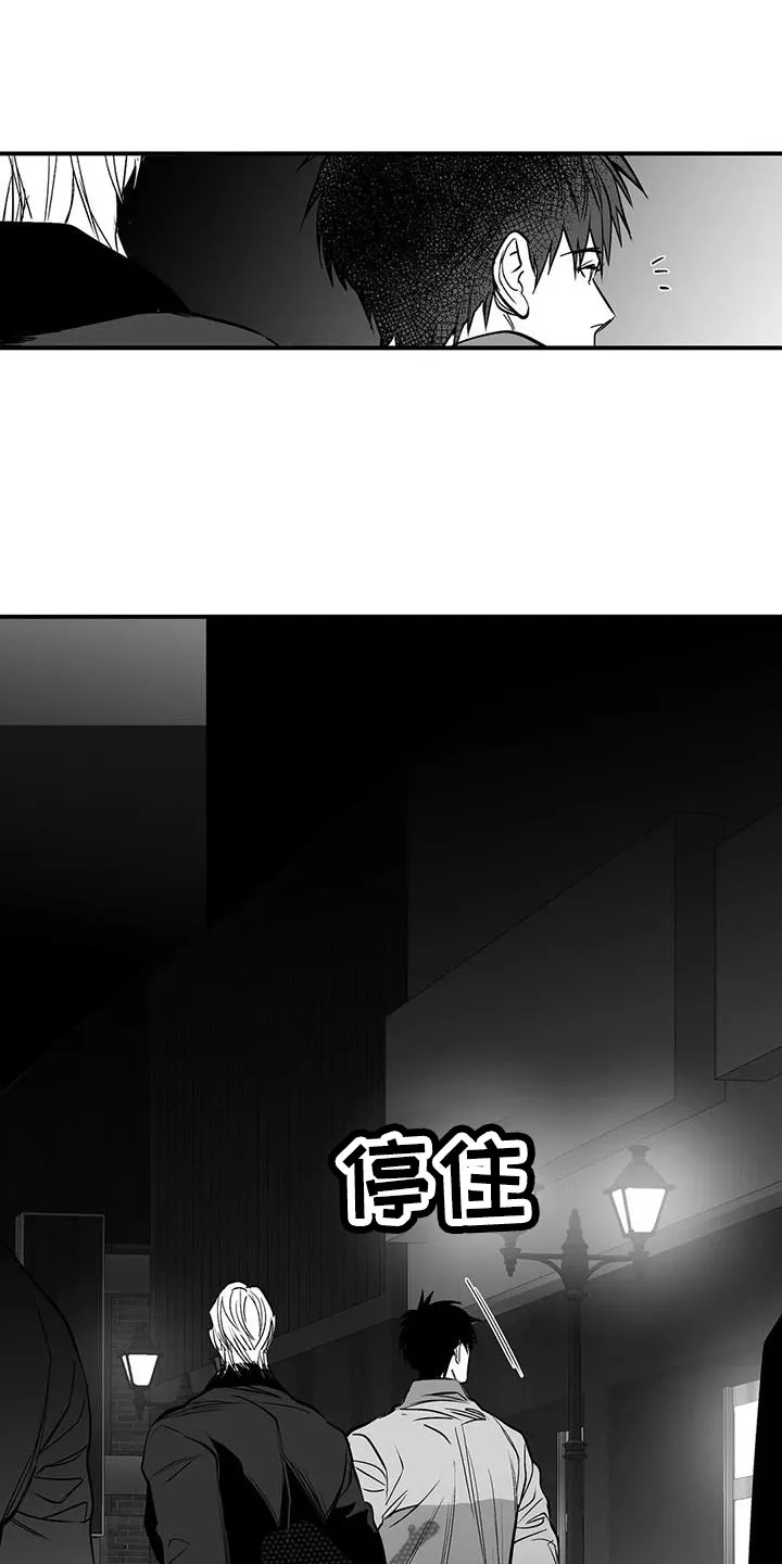拳击手漫画漫画,第215章：【第三季】不像自己27图