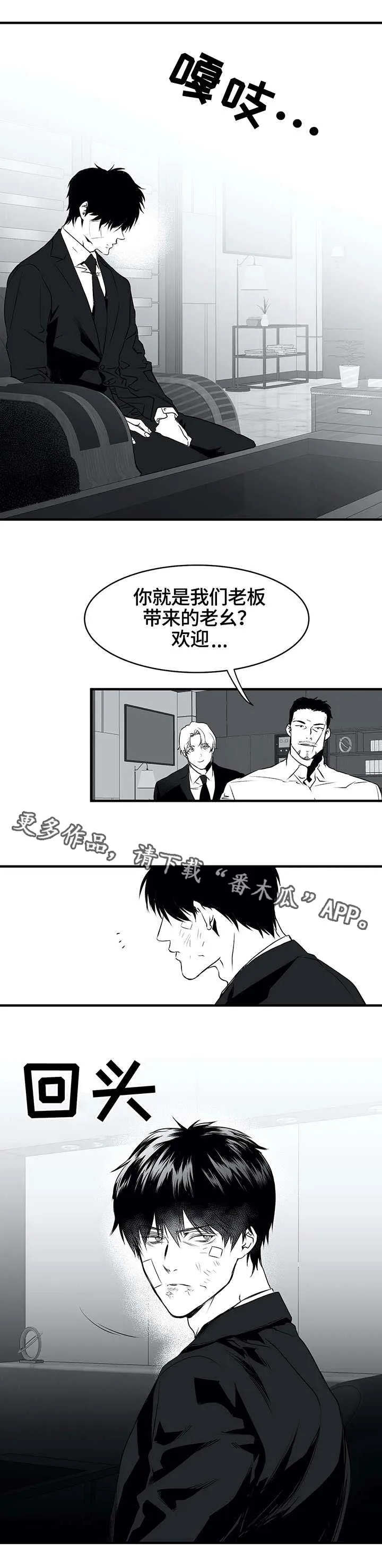拳击手漫画全集免费阅读下拉式漫画,第10章：黑帮6图