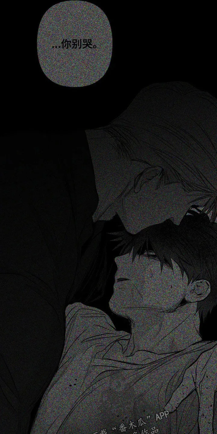 拳击手漫画免费版在线观看漫画,第255章：【第三季】我们聊聊6图