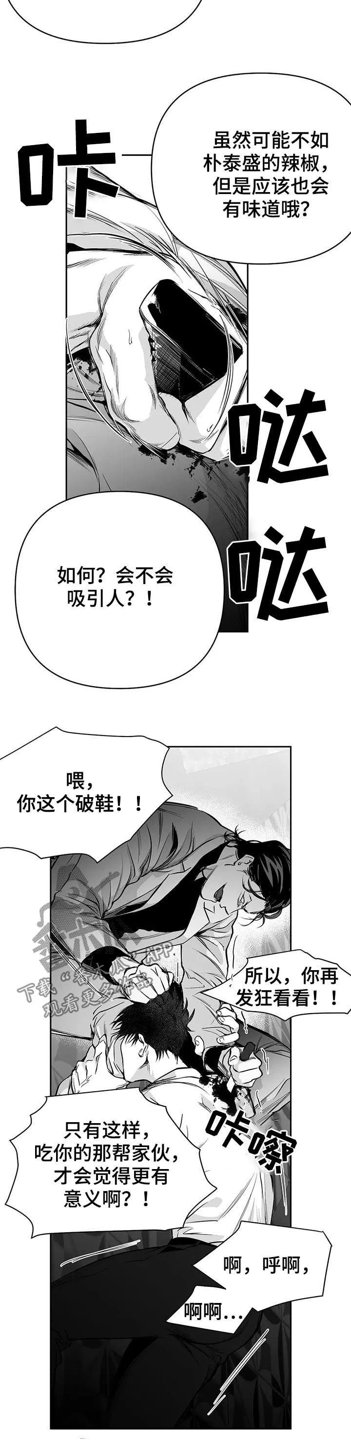 拳击手漫画图片漫画,第86章：有你的风范10图