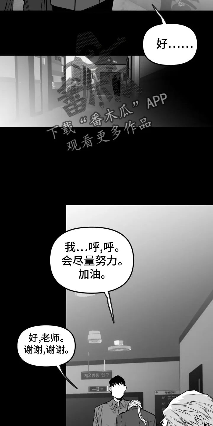 拳击手漫画漫画,第241章：【第三季】和解6图