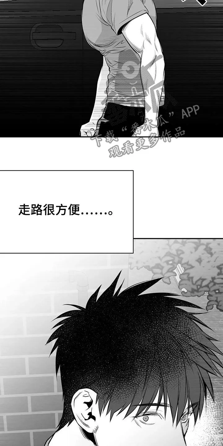 拳击手漫画全集免费阅读下拉式漫画,第183章：【第三季】每天死一个13图