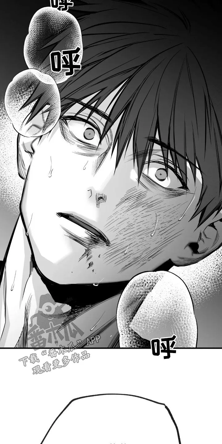 拳击手漫画卡西姆漫画,第253章：【第三季】习惯14图
