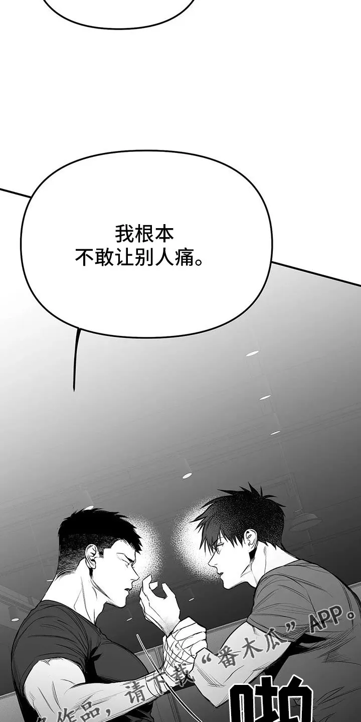 拳击手漫画漫画,第215章：【第三季】不像自己13图