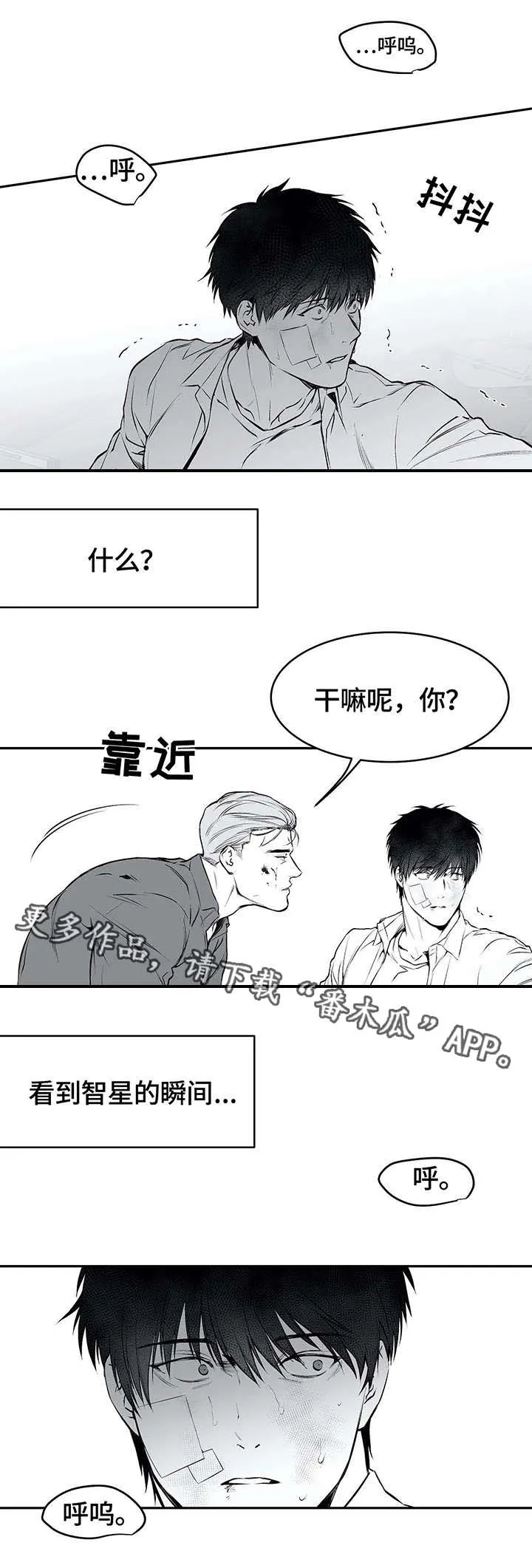 拳击手漫画免费漫画,第34章：抹去3图