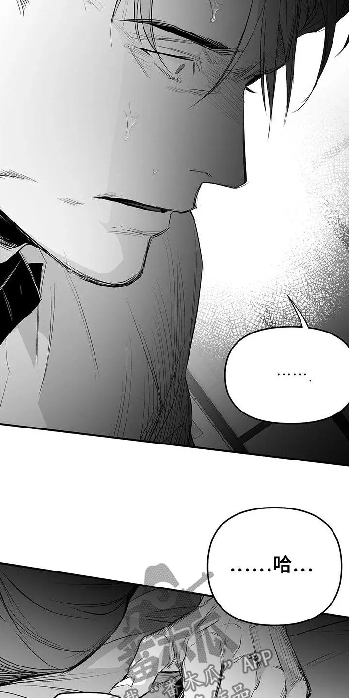 拳击手漫画漫画,第190章：【第三季】开心14图