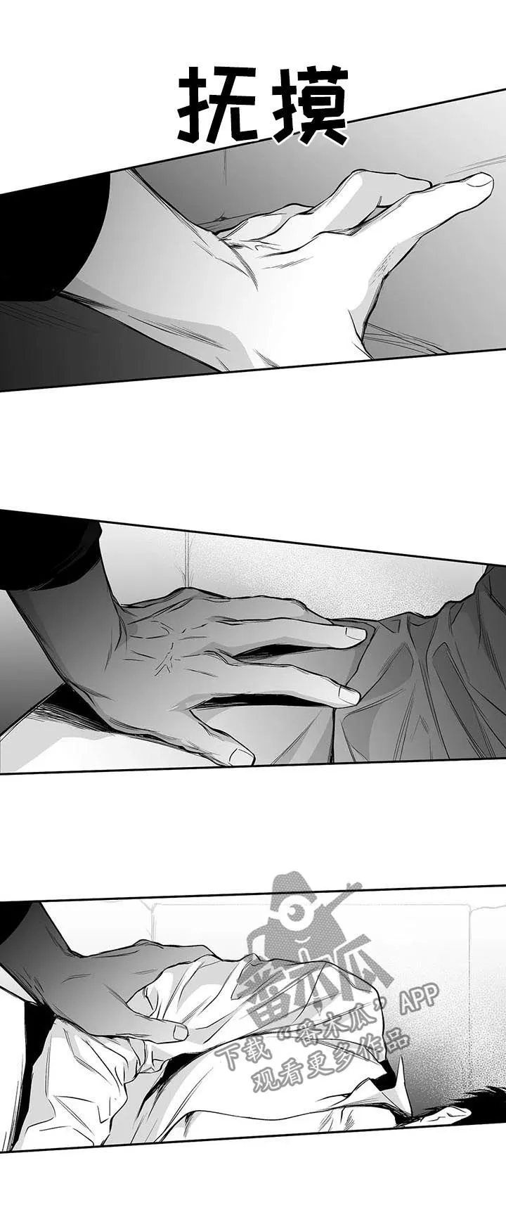 拳击手漫画免费阅读漫画,第84章：到底怎么回事4图