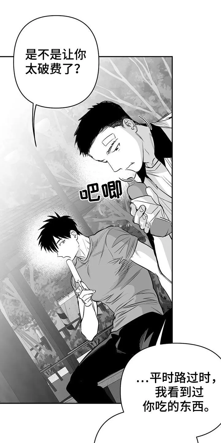 拳击手动漫漫画漫画,第181章：【第三季】请吃饭8图