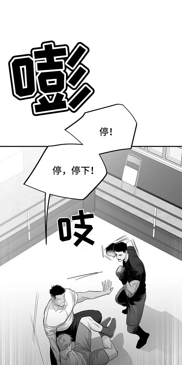 拳击手漫画免费阅读漫画,第214章：【第三季】那人很危险1图
