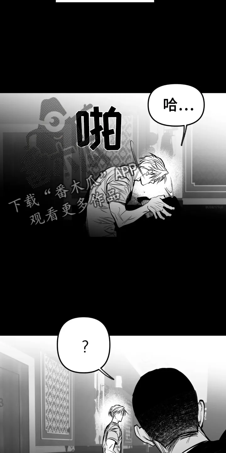 拳击手漫画卡西姆漫画,第239章：【第三季】眼熟16图