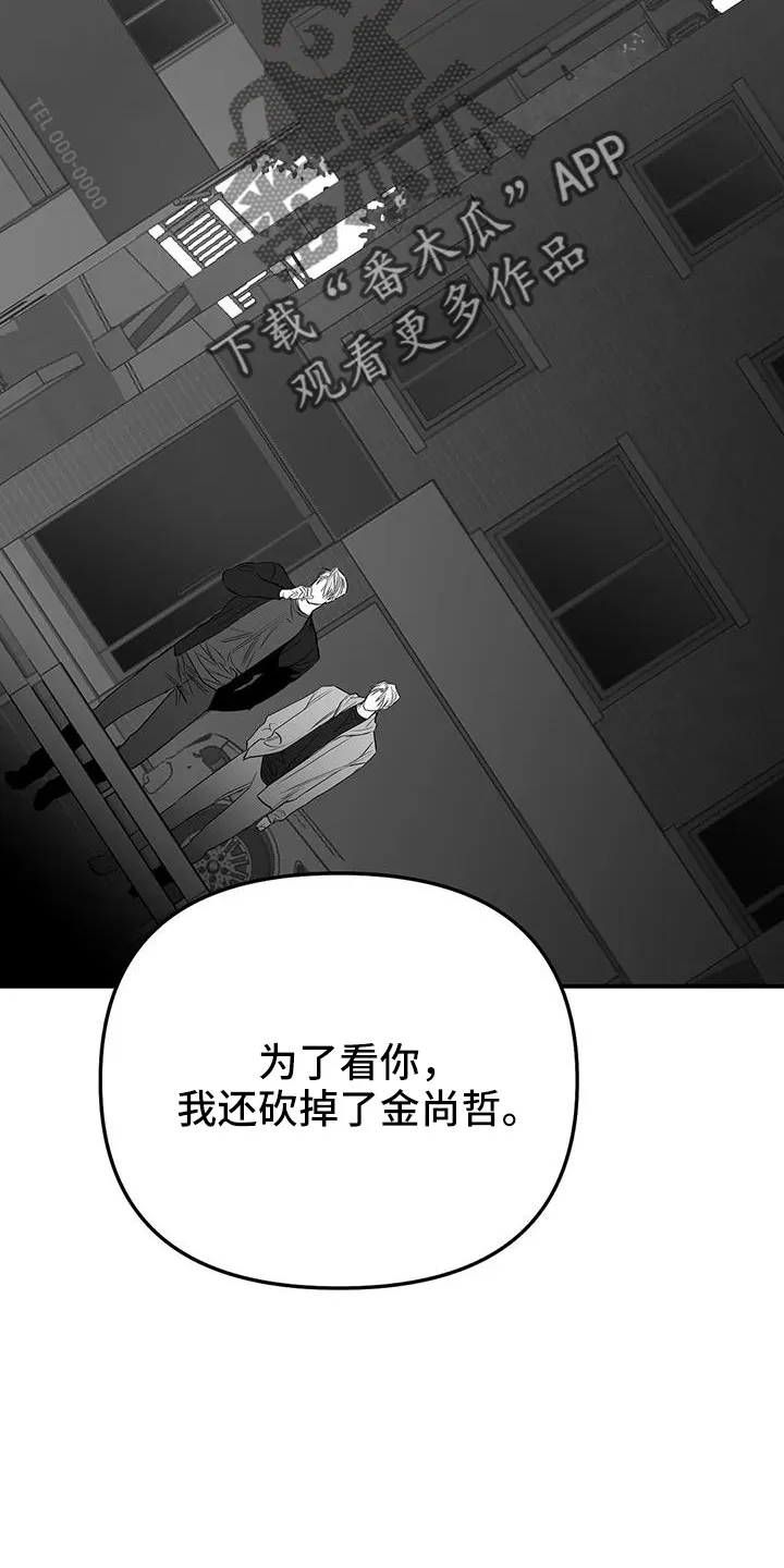 拳击手漫画卡西姆漫画,第212章：【第三季】条件是什么来着25图