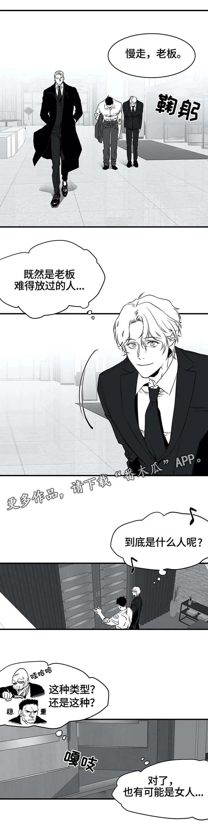 拳击手漫画全集免费阅读下拉式漫画,第10章：黑帮5图