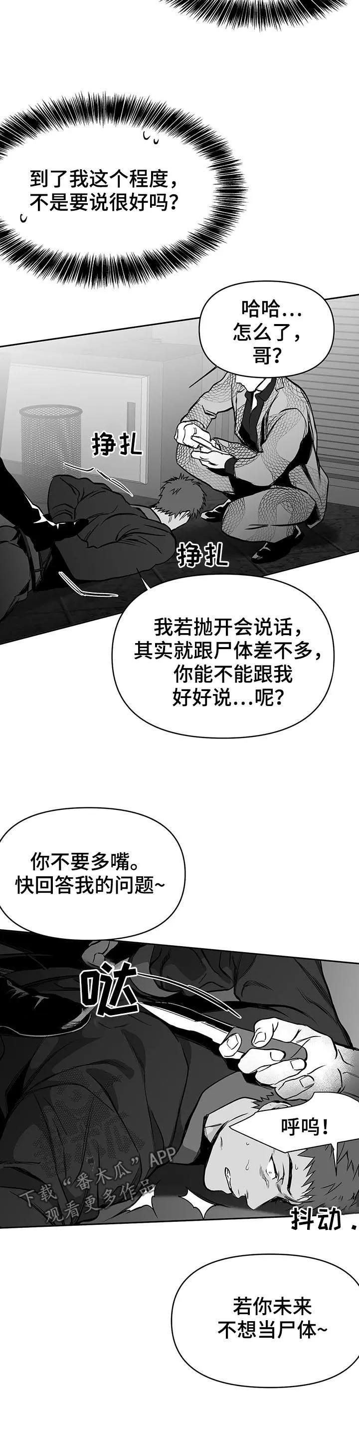 拳击手漫画漫画,第79章：找人11图
