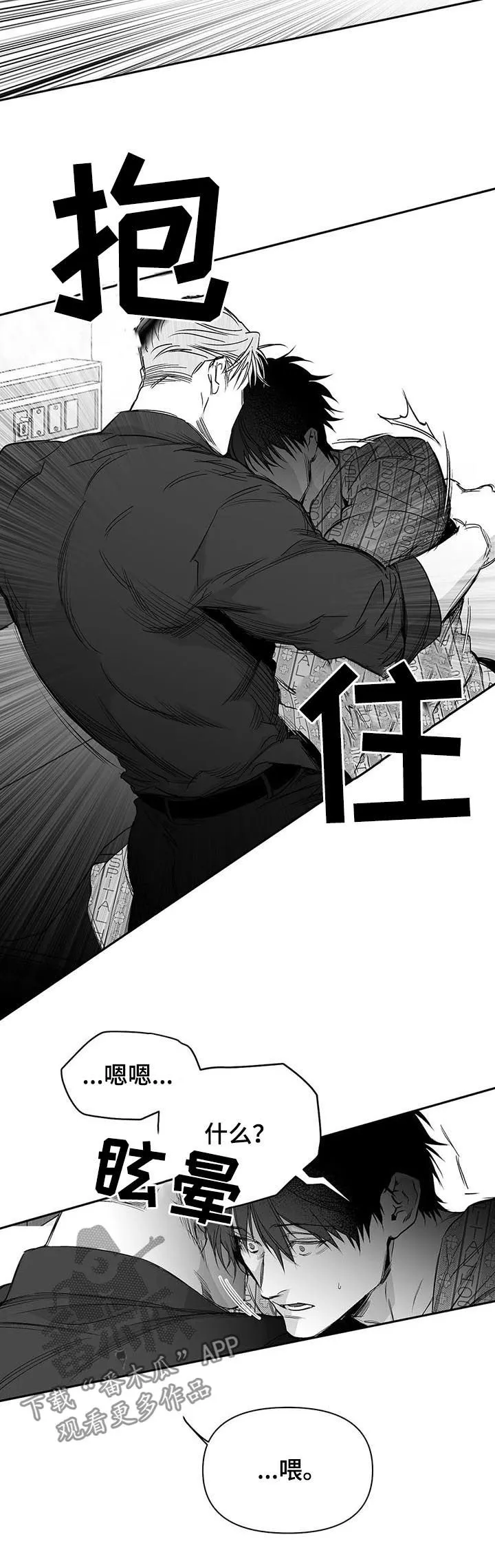 拳击手漫画免费版在线观看漫画,第88章：【第二季】醒来11图