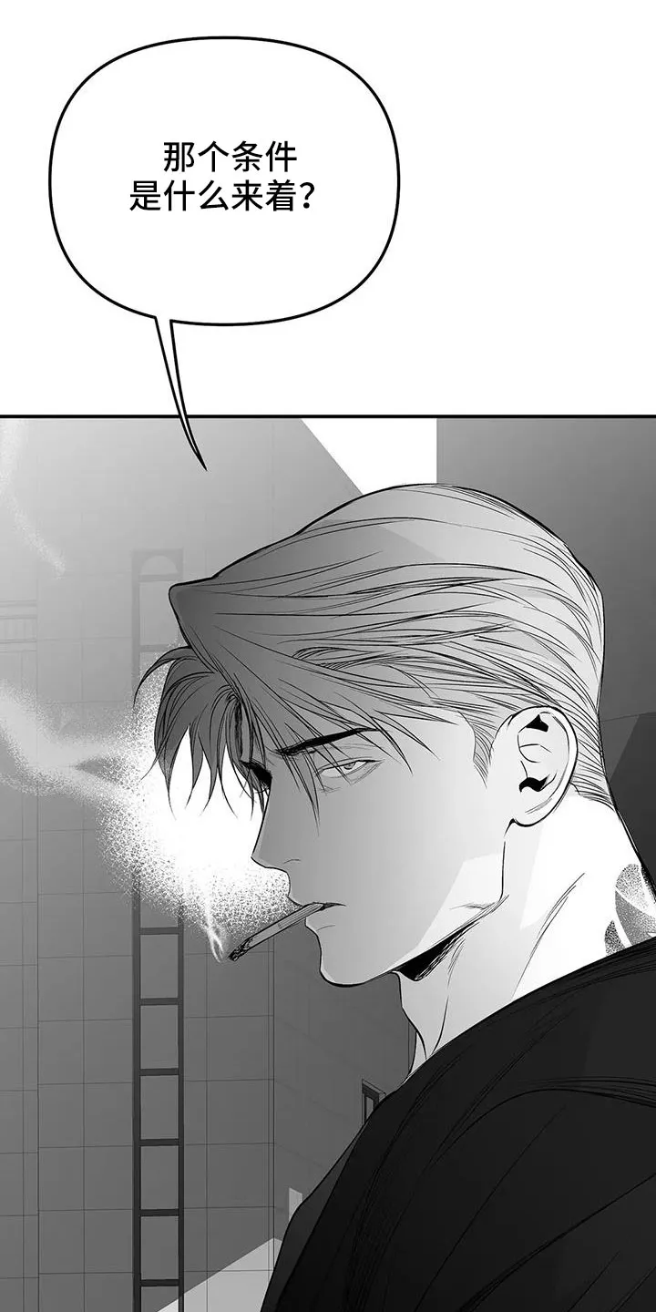 拳击手漫画卡西姆漫画,第212章：【第三季】条件是什么来着26图