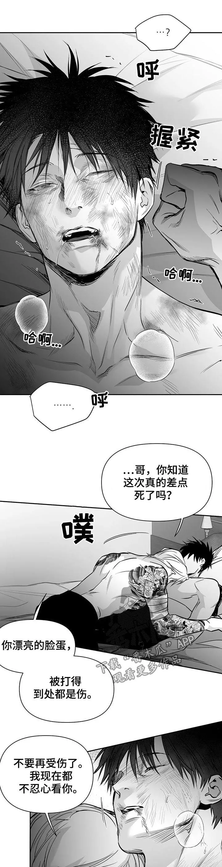 拳击手漫画免费版在线观看漫画,第121章：【第二季】到此为止吧5图