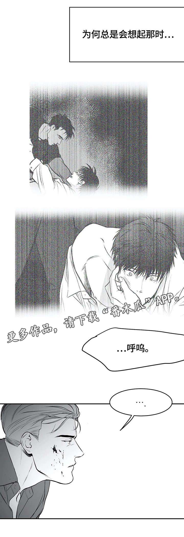 拳击手漫画免费漫画,第34章：抹去4图