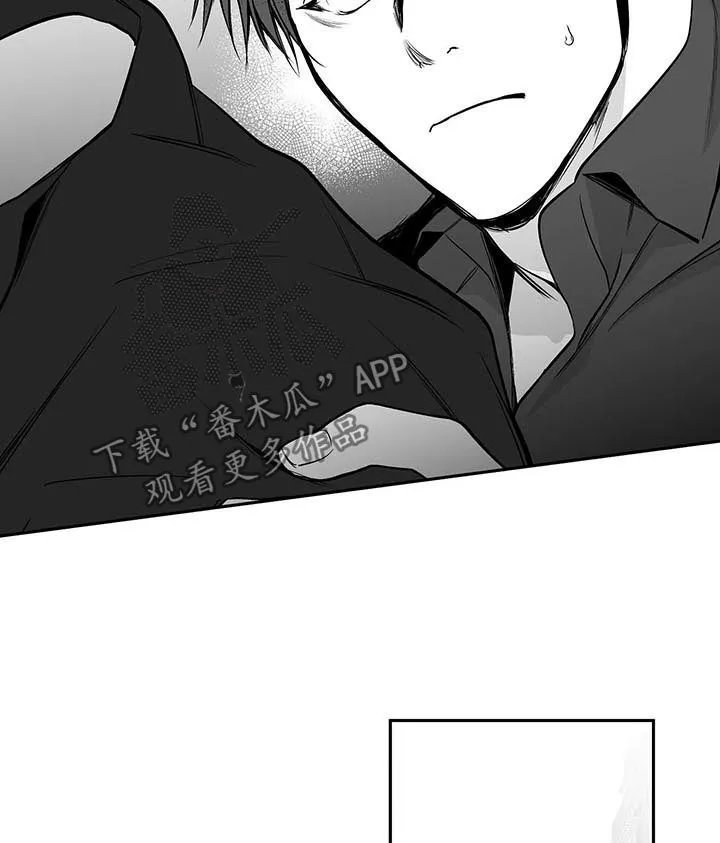 拳击手漫画免费漫画,第78章：更重要的东西2图