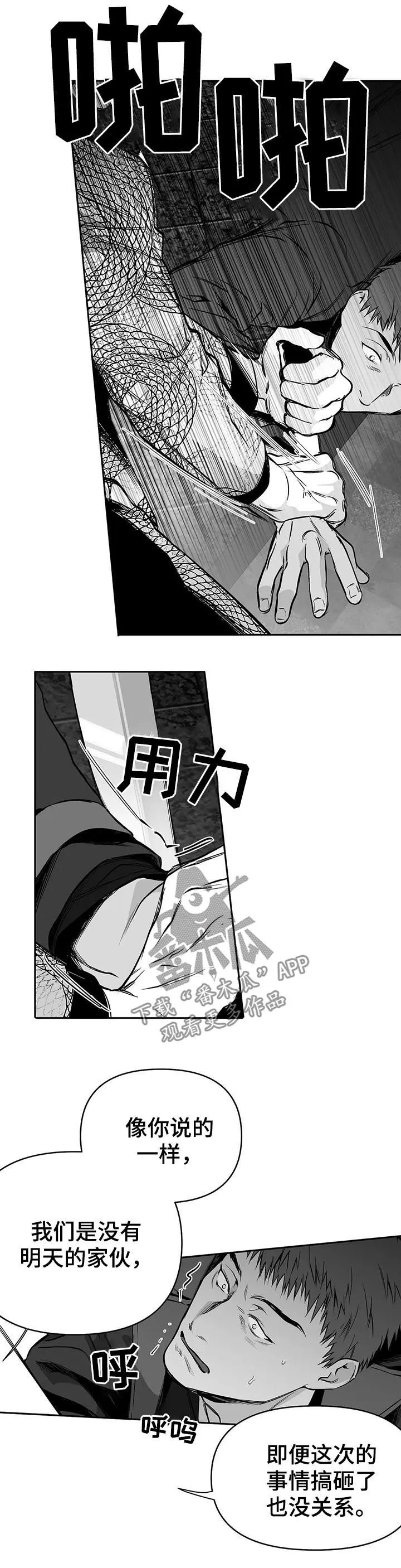 拳击手 漫画漫画,第80章：无法忍住4图