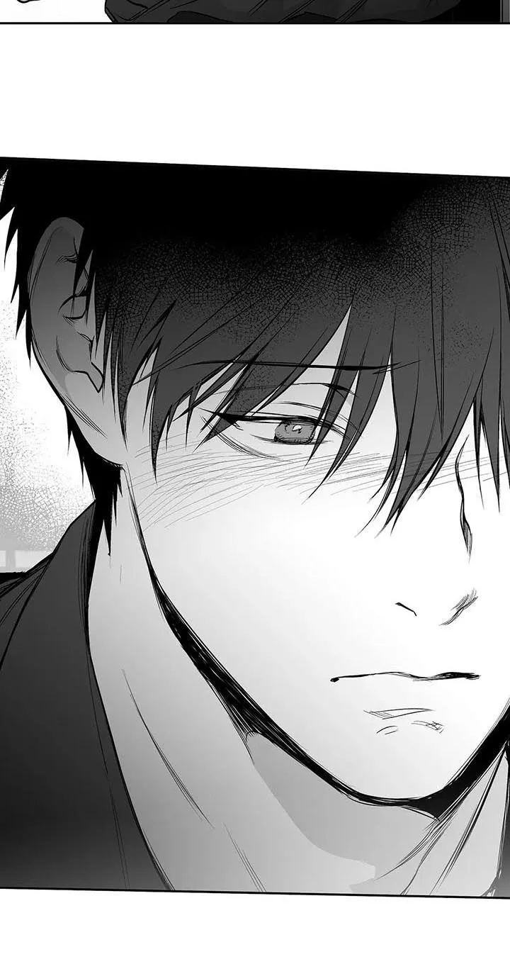 拳击手漫画免费漫画,第78章：更重要的东西12图