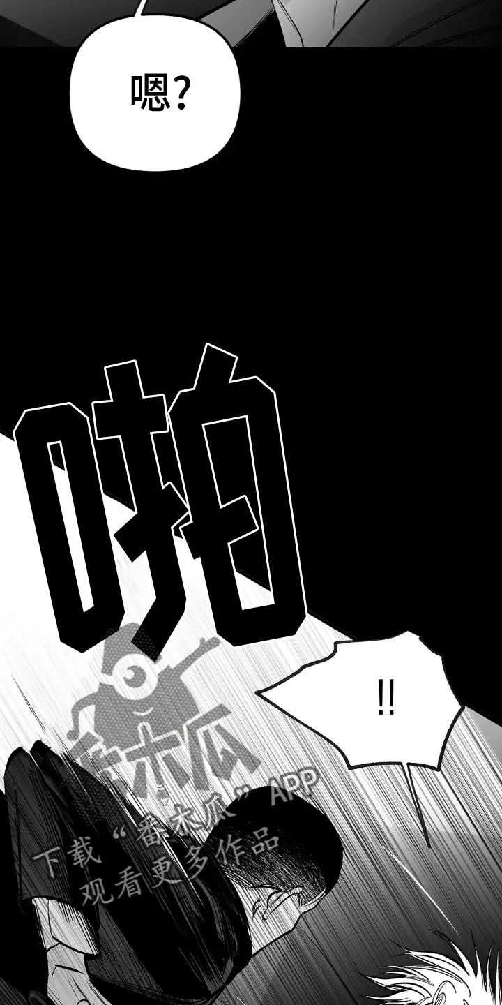 拳击手漫画头像漫画,第245章：【第三季】偶尔8图