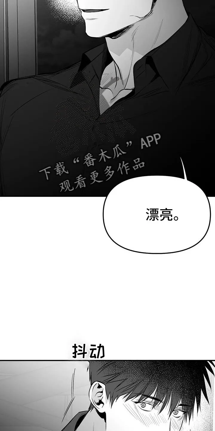 拳击手漫画免费阅读漫画,第205章：【第三季】很多第一次5图